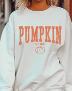 Sweatshirt / XXL / Natural